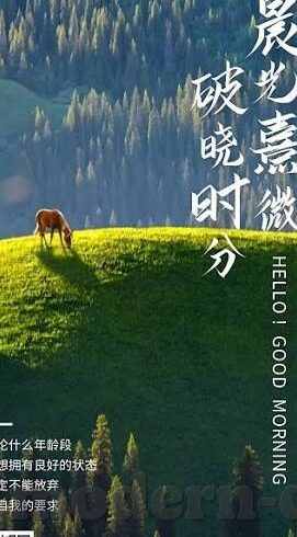 中文字幕家庭教师在线播放-探索中文字幕家庭教师在线学习的便捷与价值